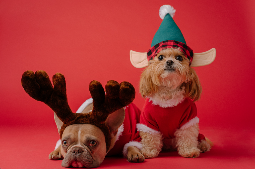 The Naughties and Nices of Christmas Leftovers