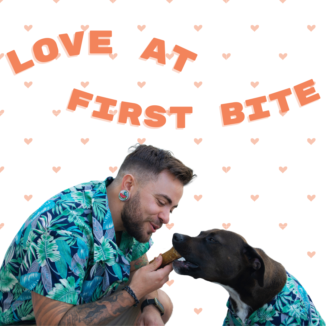 Dad and fur-child bonding over dog treat